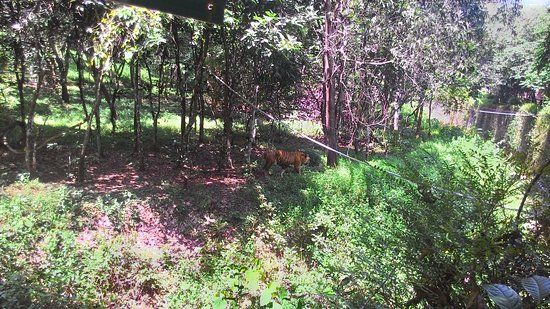 Pilikula Nisargadhama